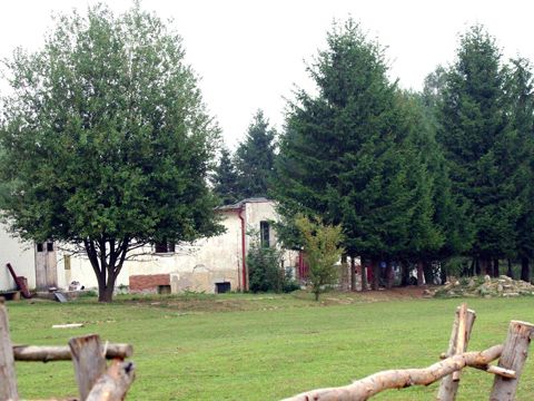 Foto 30